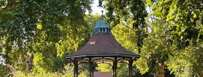 Myatt's Fields Park is one of Green spaces around Camberwell.