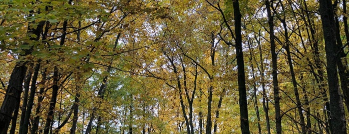 Kettle Moraine State Forest is one of P-Funk.