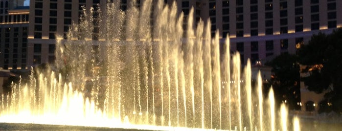 Fountains of Bellagio is one of Las Vegas for D's 40th.