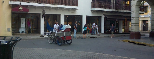Gabi Arenas is one of Cartagena.