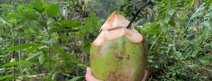 Wana Wisata Curug 7 Cilember is one of Iyan'ın Beğendiği Mekanlar.