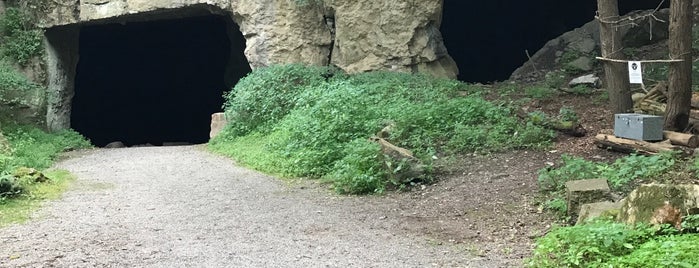 The Widow Jane Mine at The Snyder Estate is one of New Paltz, NY.