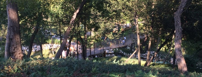 Yıldız Parkı is one of Tempat yang Disukai Fatih.