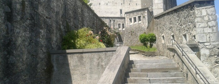 Musée Pyrénéen is one of France.