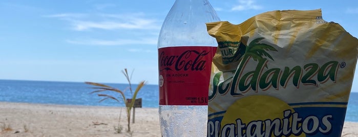 Playa Cabuyal is one of Guanacaste.