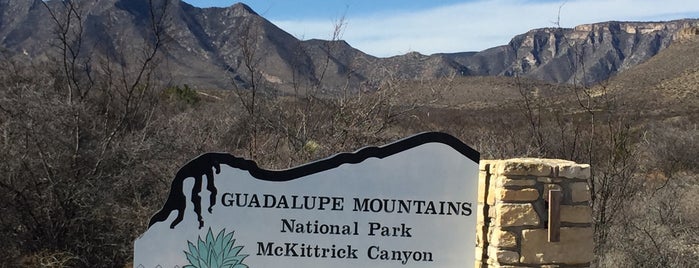 McKittrick Canyon Trail is one of Locais curtidos por Quantum.