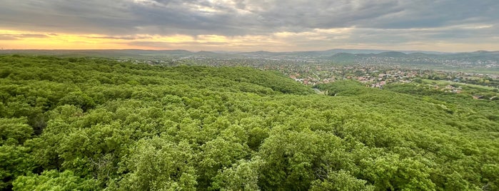 Annahegyi Kilátó is one of Budai hegység/Pilis.
