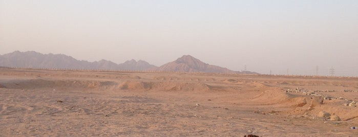Sinai Desert Buggy Safari is one of Locais curtidos por Ashraf.