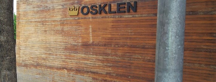 Osklen is one of Sao Paulo Excitement.
