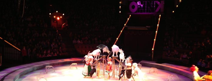 The Moscow State Circus is one of Любимые Места.