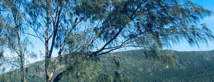 Mirante do Matadeiro is one of florianópolis.