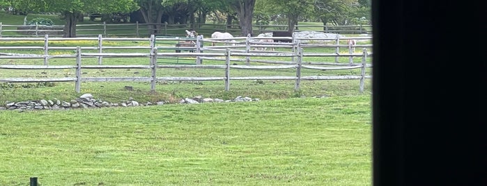 Hammersmith Farm is one of JFK.