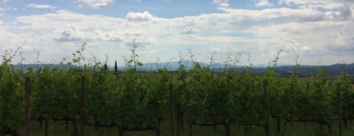 Máté Winery is one of Toscana.