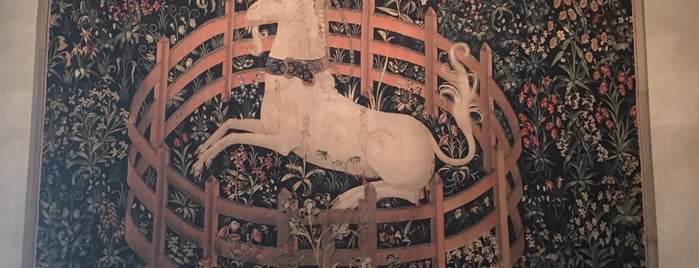 Unicorn Tapestry Room is one of NYC DOs.