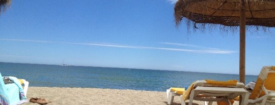 Playa de Puerto Banús is one of the best.