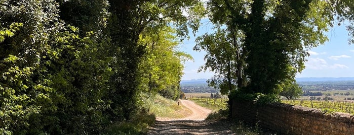 Château La Nerthe is one of Tour de France.