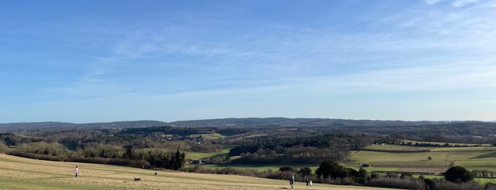 Newlands Corner is one of London.