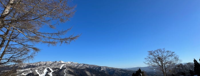 スノーウェーブパーク白鳥高原 is one of Ski Area.