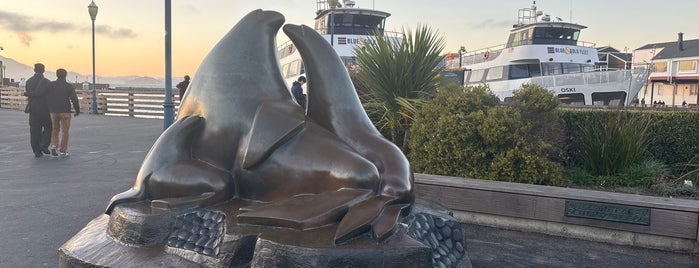Sea Lion Statue is one of San Francisco 🌉.