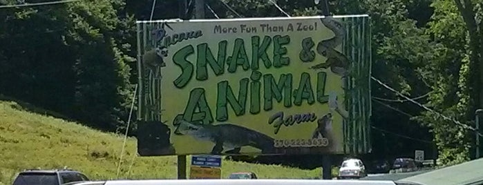 Pocono Snake and Animal Farm is one of Locais curtidos por Lizzie.