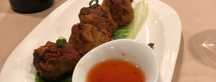 Sanook Thai Cuisine is one of New area 😍.