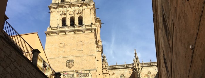 Catedral Vieja - Santa María de la Sede is one of Salamanca 🇪🇸.