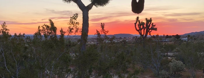 The Joshua Tree House is one of Lugares favoritos de Benjamin.