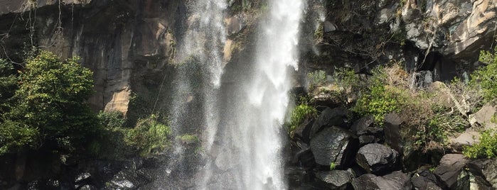 Jeongbang Waterfall is one of Jeju Island.
