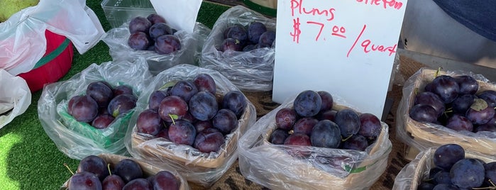 Holland Farmers Market is one of most frequent.