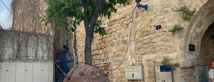 Suspended Orange Tree is one of Israil.