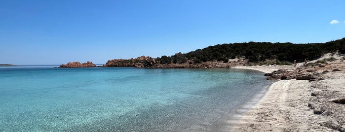 Cala Andreani is one of Lugares favoritos de Kunal.