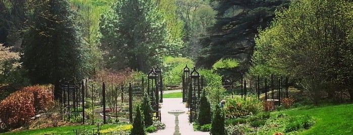 Morris Arboretum is one of Philly Phun time.