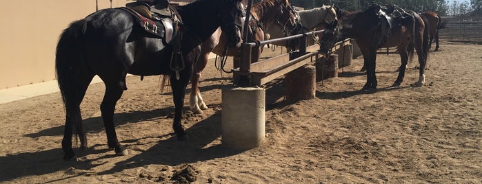 Smoke Tree Stables is one of California.