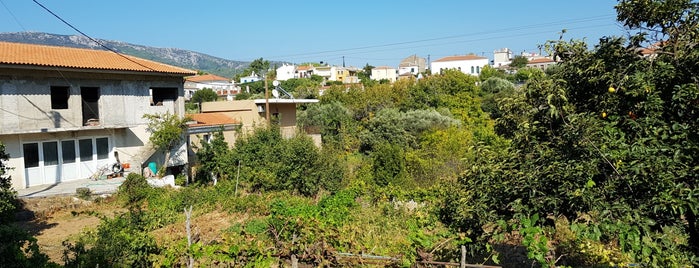 Pyrgos is one of Samos.
