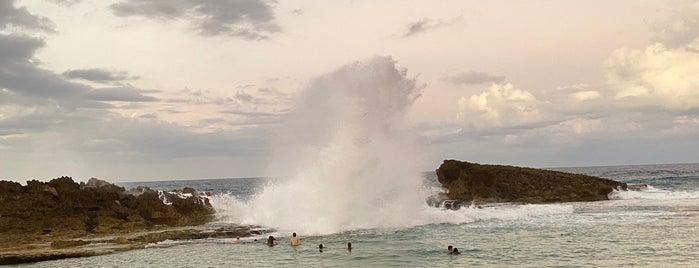 La Poza Del Obispo is one of Arecibo.