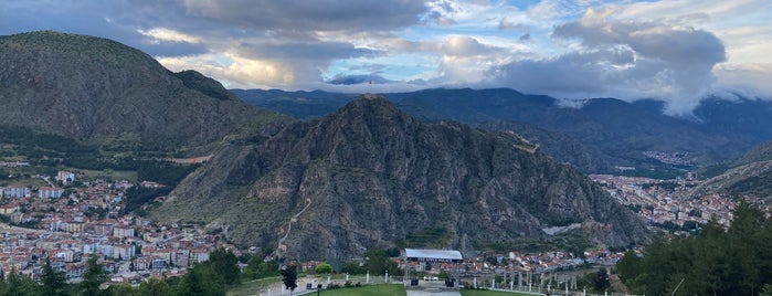 The Apple Palace Hotel is one of Amasya.