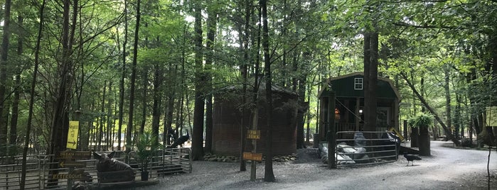 Harmony Park Safari is one of Alabama Attractions.