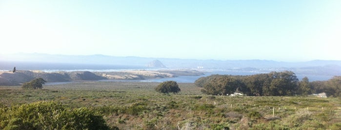 Los Osos, CA is one of Lisleさんのお気に入りスポット.