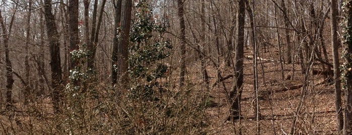 Uwharrie National Forest is one of National Recreation Areas.