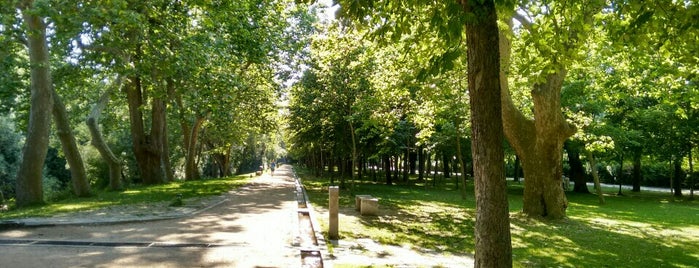 La Alameda Del Parral is one of Segovia.