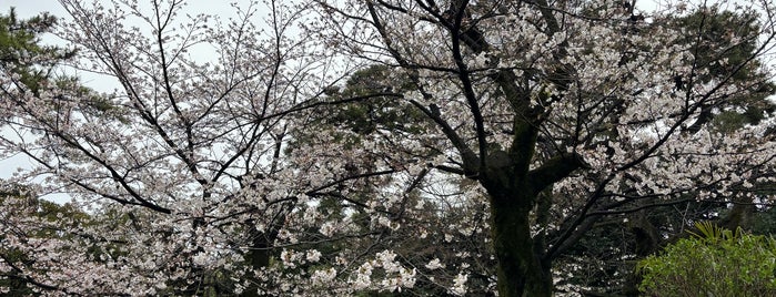 Senzokuike Park is one of Lieux qui ont plu à 西院.