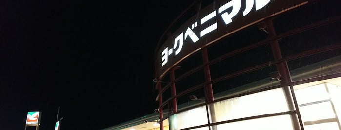 ヨークベニマル 本宮インター店 is one of 行ったことのあるお店：福島県.