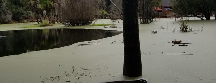 Cedar Lakes Wildlife & Nature is one of Lieux qui ont plu à Lizzie.