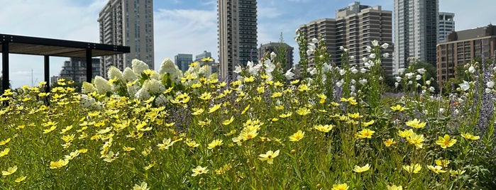 Must-visit Great Outdoors in Toronto