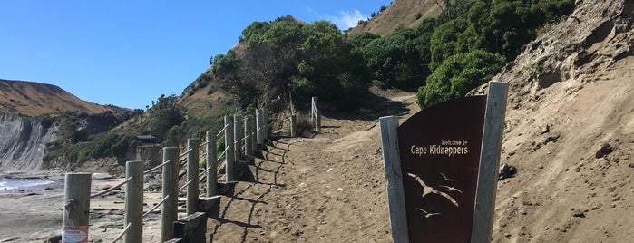 Cape Kidnappers is one of Lieux qui ont plu à Cusp25.