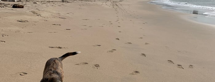 Praia de Algés is one of Bruna’s Liked Places.