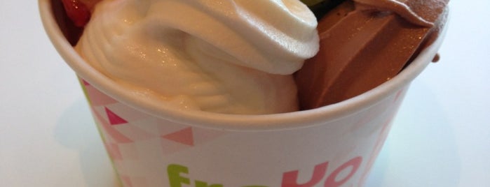 Fro-Yo is one of Places I End Up Frequently.