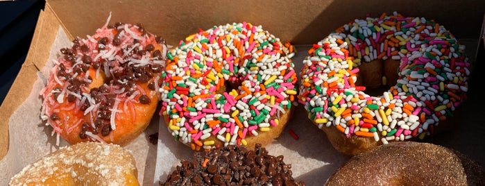 Fractured Prune is one of Jen Randall on the Eastern Shore.