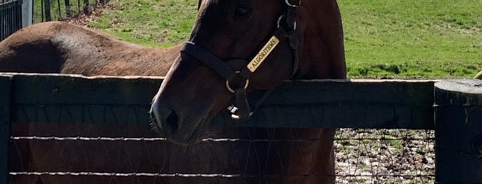 Claiborne Farm is one of Kentucky.