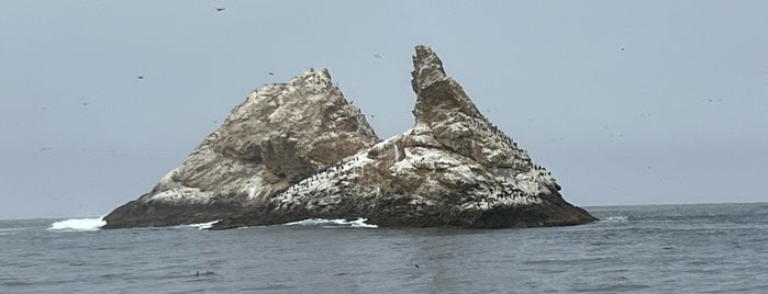 Seal Rock is one of World Traveling via Instagram II.